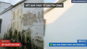 Kết quả thực tế công trình trước và sau khi sử dụng sơn chống thấm POPA Watershield